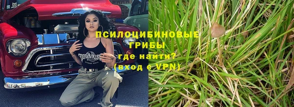 ГАЛЛЮЦИНОГЕННЫЕ ГРИБЫ Арсеньев