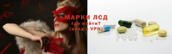 ГАЛЛЮЦИНОГЕННЫЕ ГРИБЫ Арсеньев
