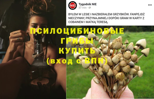 экстази Снежногорск
