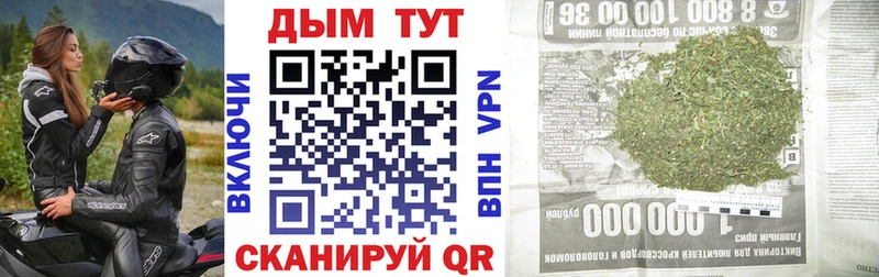 Каннабис SATIVA & INDICA Венёв